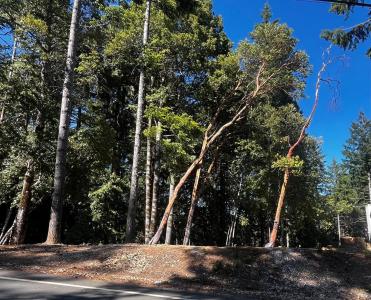 2374 Goose Road, Willits, Kalifornien 95490, USA