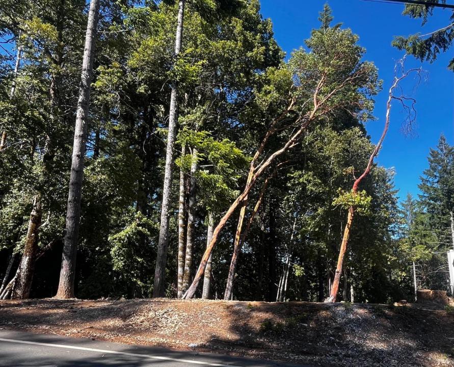 2374 Goose Road, Willits, Kalifornien 95490, USA