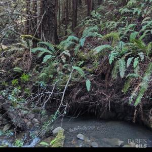 22090 Lyons Ct, Jenner, California 95450, USA