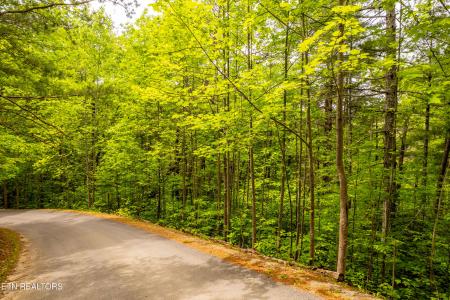 914 Stonegate Way, Townsend, تينيسي 37882, الولايات المتحدة