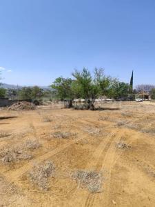 Santa Maria Coyotepec, Oaxaca 71254, Meksika