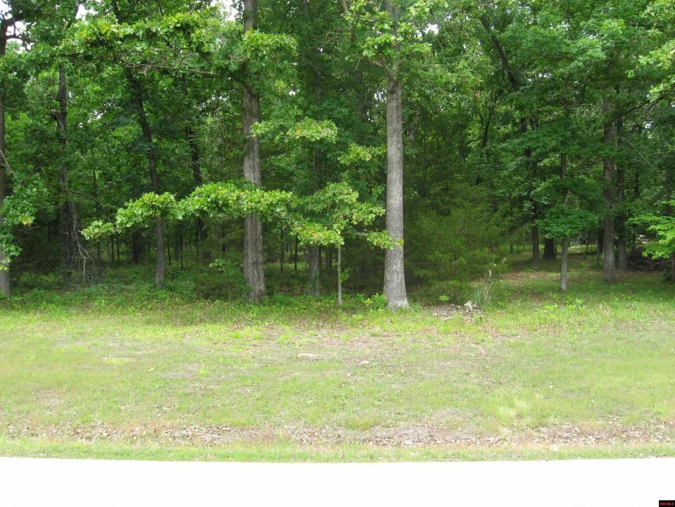 37 WINDSONG PLACE lot: 20 Lot 20, Mountain Home, Arkansas 72653, États-Unis
