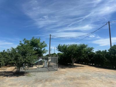 Highway 65 Citrus Ranch Highwa, Ducor, California 93218, USA