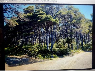 Sea Way Loop, Waldport, Oregon 97394, USA