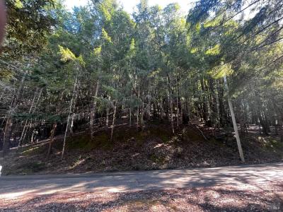 1775 Buckeye Road, Willits, Kalifornien 95490, USA