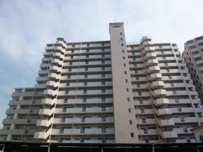 907, 深井畑山町, スペリオシティ泉北　弐番館, 堺市中区, Osaka 599-8248, Japan