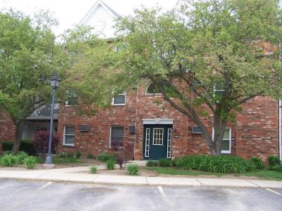 4306 Shamrock Lane , 2C, Mchenry, Illinois 60050, USA