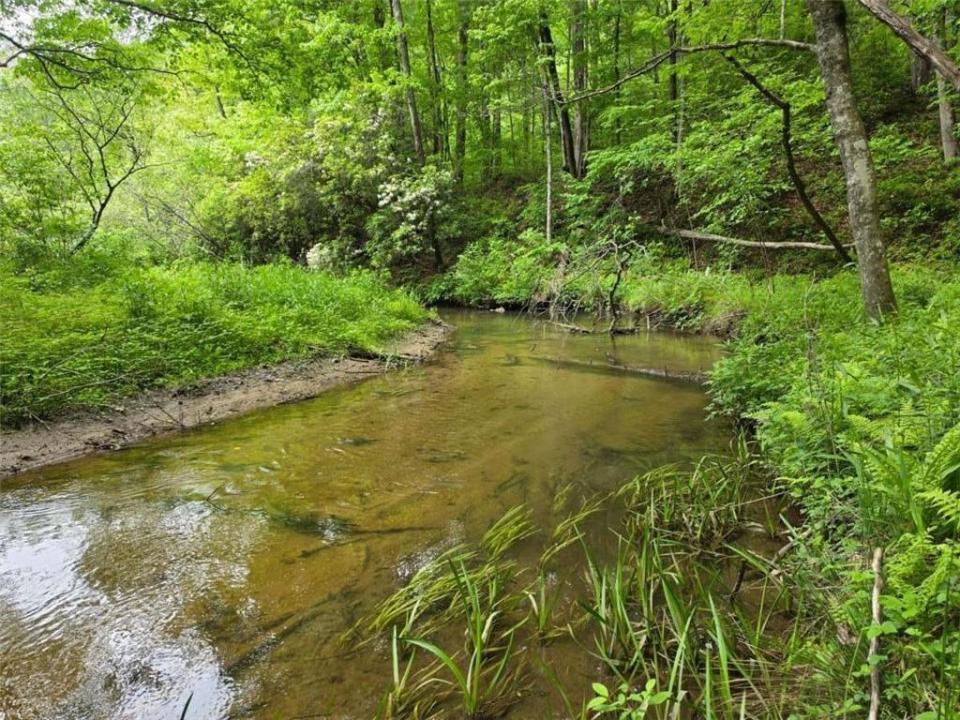 409 Harrison Sluder Road, Ellijay, 죠지아 30540, 미국