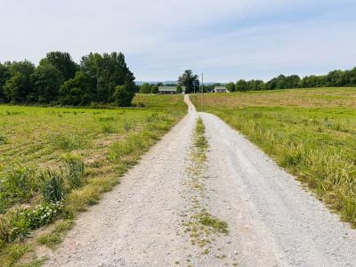 235 Breezy Knoll Lane, Morrison, Tennessee 37357, USA