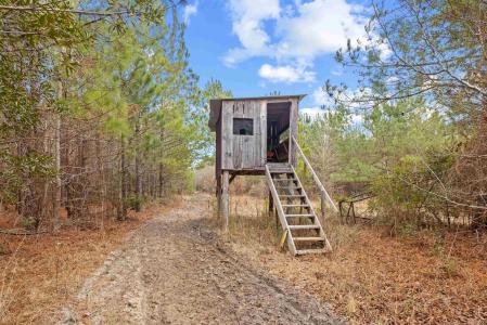 TBD 183 Acres Blakely Rd., Salters, Carolina Do Sul 29590, Estados Unidos