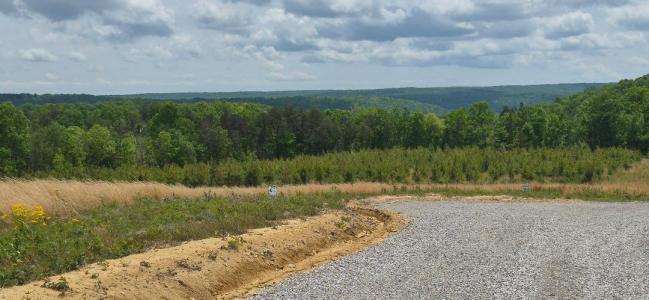 47 Pineview Road 47, Dunlap, Tennessee 37327, USA
