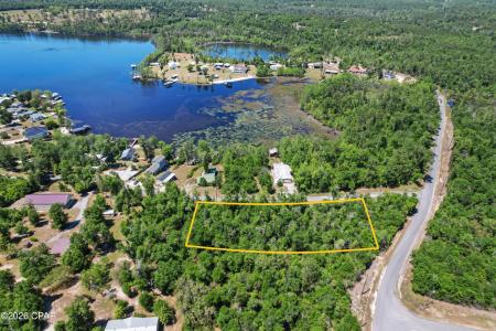 Lakeview Circle, Alford, Florida 32420, Stati Uniti