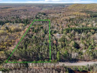 000 Wallin Road, Thompsonville, Michigan 49683, USA