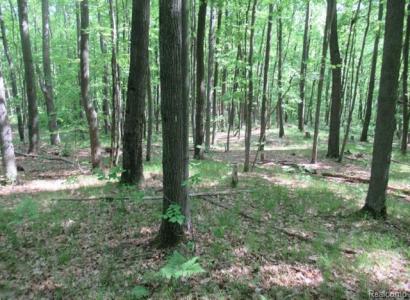 2360 Fawn Circle, Hayes Twp, Michigan 48625, USA
