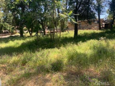 14245 Woodland, Clearlake, California 95422, Estados Unidos