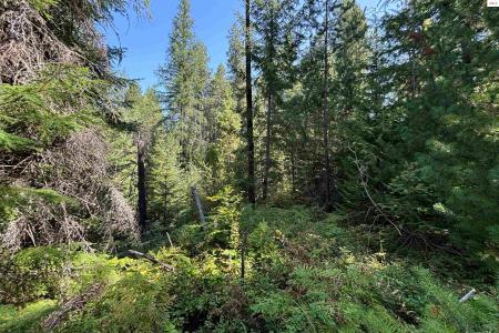 NNA Ridge Way, Sandpoint, Idaho 83864, USA