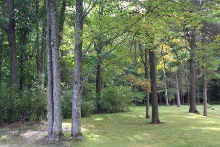 11831 Woody Road, Roscommon, Michigan 48653, USA