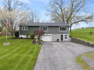 3275 Cottle Rd, Weedsport, NY 13166, USA