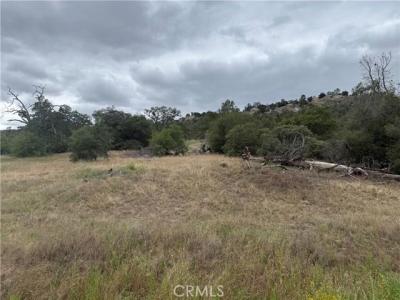2112 North Dome, Coar, California 93614, USA