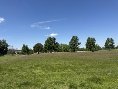 00 Stone Creek Dr Lot 79, Makanda, Illinois 62958, HOA KỲ