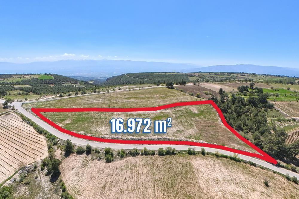 Denizli, Turchia