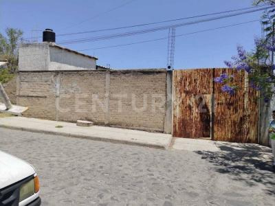 Lechuga entre Betabel y Tomate SN,, Zapopan, Jalisco 45204, Mexico