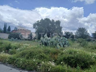 AV. Gustavo Baz Prada ,, Teotihuacan, Estado De México 55806, Mexico
