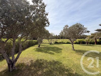 Grimaud, Provence-Alpes-Côte D'Azur 83310, Fransa