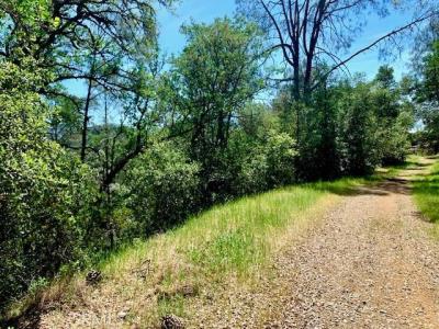 7268 Shasta, Nice, California 95464, USA