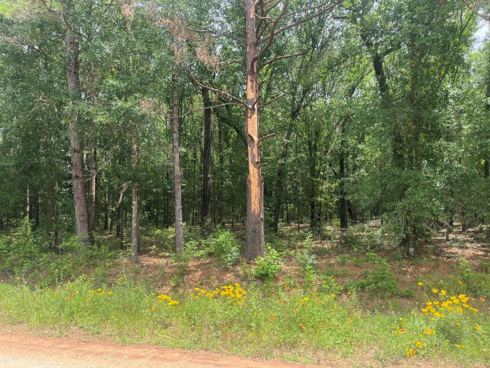 0 Oak Bend, Cleveland, Texas 77328, Estados Unidos