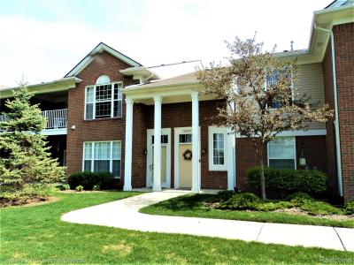 16815 Dover Drive , 146, Northville, Michigan 48168, Amerika Birleşik Devletleri