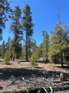 266 Ponderosa Drive, Leadville, Colorado 80461, Stati Uniti