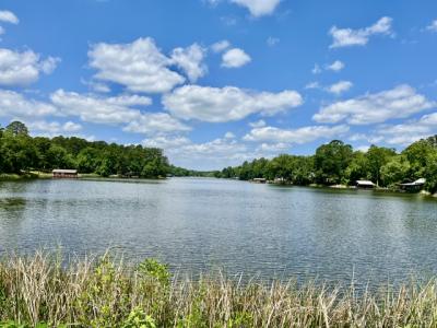 717 PR 6665, Mineola, Texas 75773, USA
