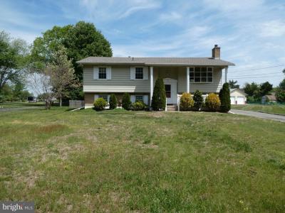 195 Beebetown Rd, HAMMONTON, NJ 08037, USA