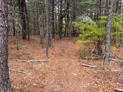 0 Clay St, Middleboro, Massachusetts 02346, États-Unis
