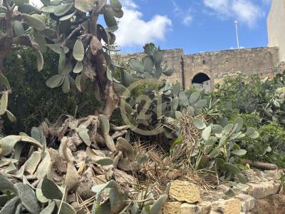 Gozo - Xewkija, Malta