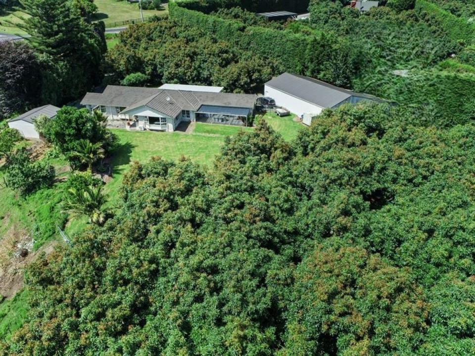 4 Esdaile Road, Whakamarama, Western Bay Of Plenty District 3172, Nueva Zelanda