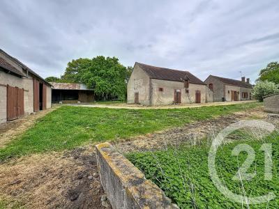 Chatres Sur Cher, Centre 41320, France