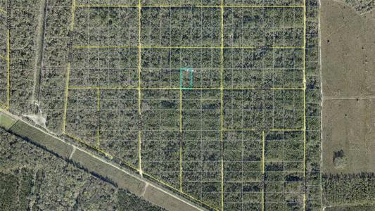 21-10-28-2775-00040-1020 Olson Street, Hastings, פלורידה 32145, ארצות הברית של אמריקה 