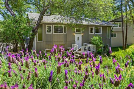 20755 Chaparral Circle, Penn Valley, كاليفورنيا 95946, الولايات المتحدة