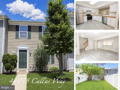 46078 Callas Way, Lexington Park, Maryland 20653, États-Unis