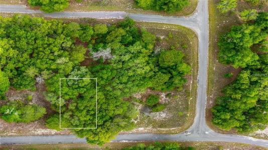 Magnolia Drive, Ocklawaha, Floride 32179, États-Unis