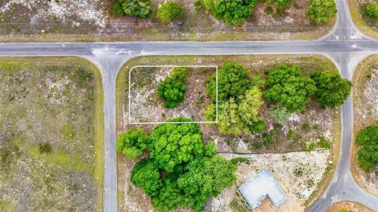 Guava Terrace, Ocklawaha, Floride 32179, États-Unis
