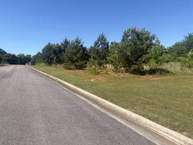 0 Almon DR., Moulton, Alabama 35650, Estados Unidos