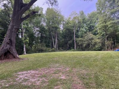 877 Bedwell Street, Heflin, Alabama 36264, États-Unis
