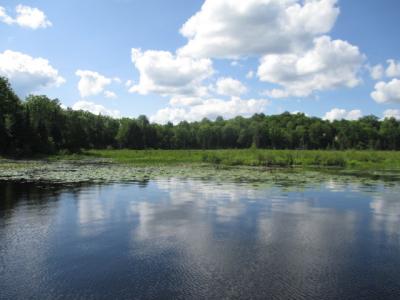 On East Fisher Lake Road, Mercer, Wisconsin 54547, Estados Unidos