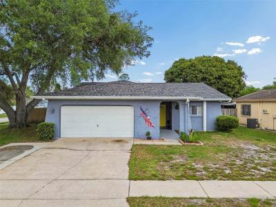 4733 Ridge Point Drive, Tampa, Florida 33624, USA
