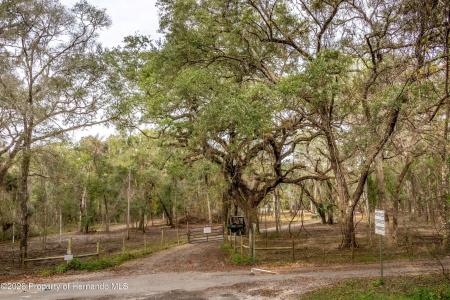 24091 Richbarn Road, Brooksville, Floride 34601, États-Unis