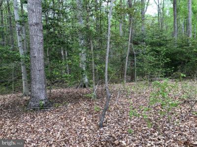 9045 Genevieve Drive, White Plains, Maryland 20695, États-Unis