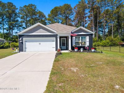 217 Wild Raven Street NW, Shallotte, North Carolina 28470, Stati Uniti